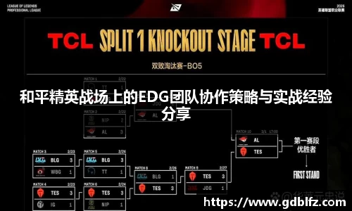 和平精英战场上的EDG团队协作策略与实战经验分享